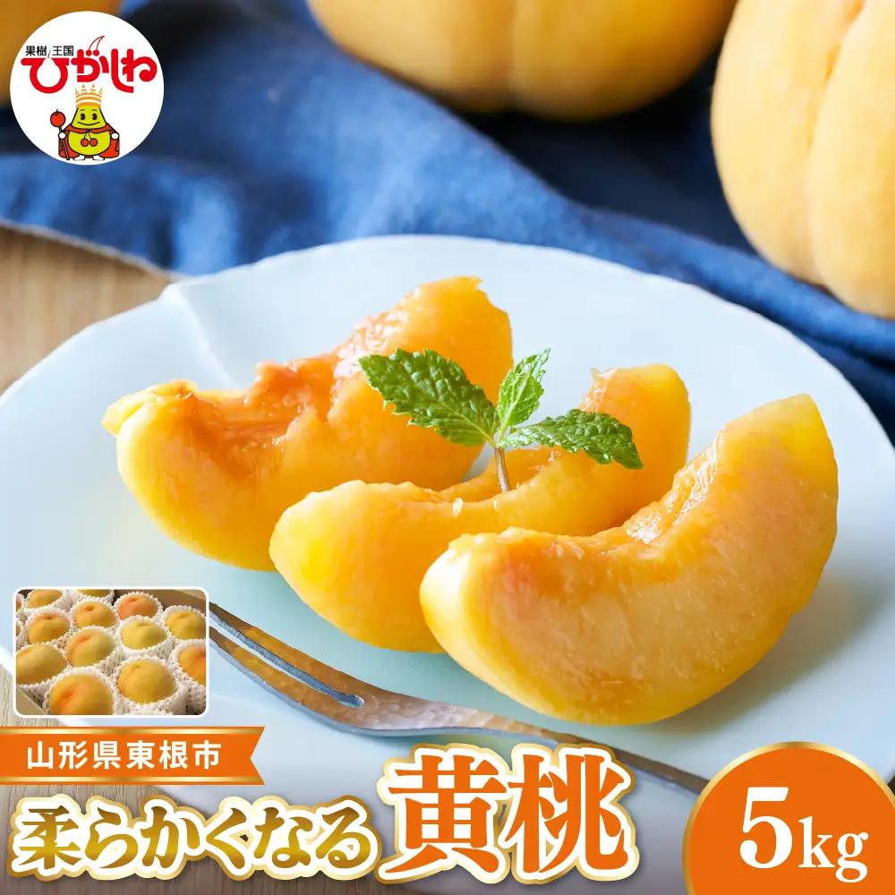 【2026年産】東根市産 黄桃 秀品 柔らかくなる桃約5kg 黄桃 桃