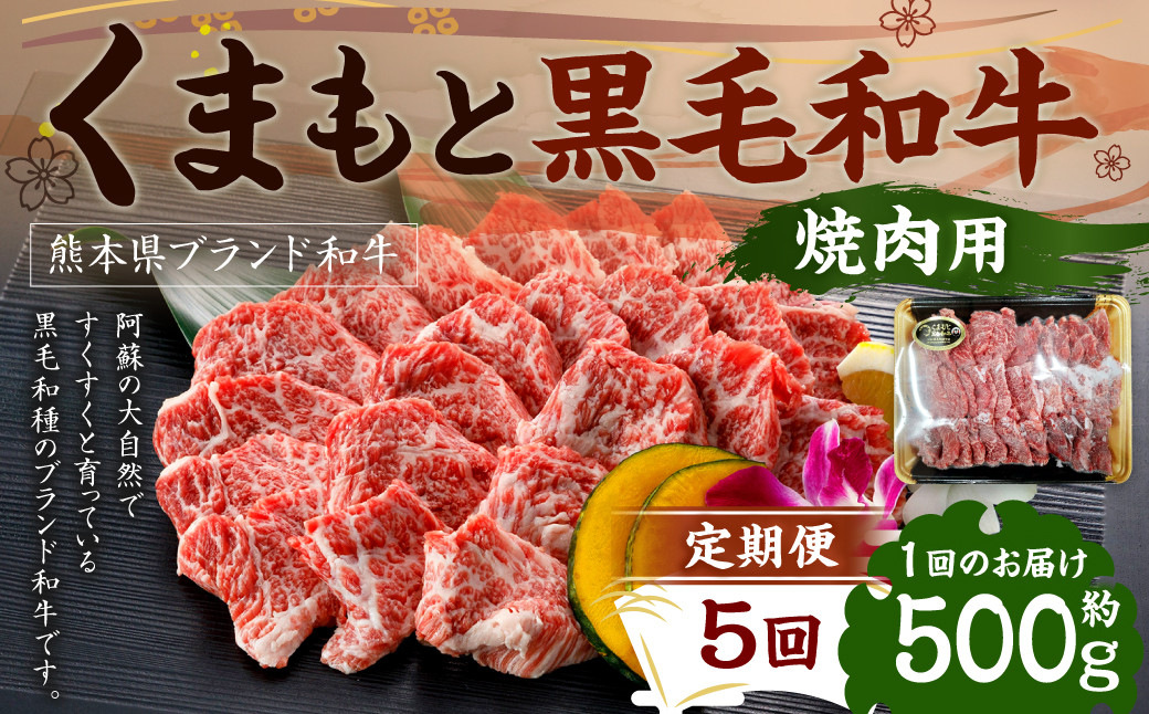 【定期便5回】くまもと黒毛和牛 焼肉用 500g×1P