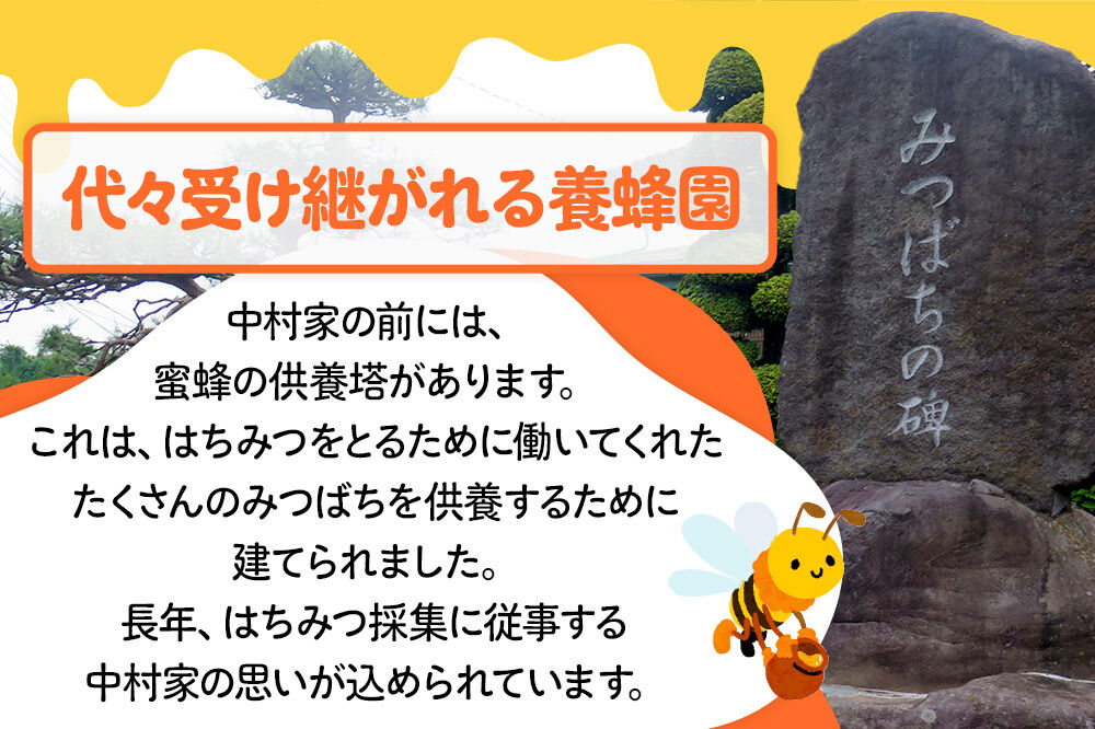 尾瀬のとち蜜＆沼田市産アカシア蜜 詰め合わせ500g×各1本 計1kg 中村養蜂園 [蜂蜜 はちみつ ハチミツ 国産 群馬県産 栃 とち トチ あかしあ アカシア あかしや アカシヤ とんがり トンガ