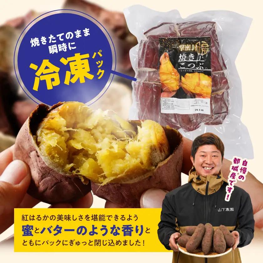 【訳あり】「一撃蜜封こつぶ」ひと口焼き芋1kg〔LC-I702〕_(都城市) 都城産 紅はるか さつまいも 蜜焼き芋 冷凍パック 極小サイズ