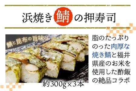 【福井名物】福井の味自慢 浜焼き鯖の押寿司の 3本セット ギフト 冷凍寿司 [A-8403]