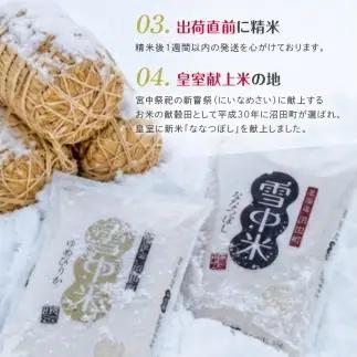 令和8年産【定期便4ヶ月】ななつぼし 玄米 20kg（10kg×2袋） 【3月発送】開始 雪冷気 籾貯蔵 雪中米 北海道 nr-3318