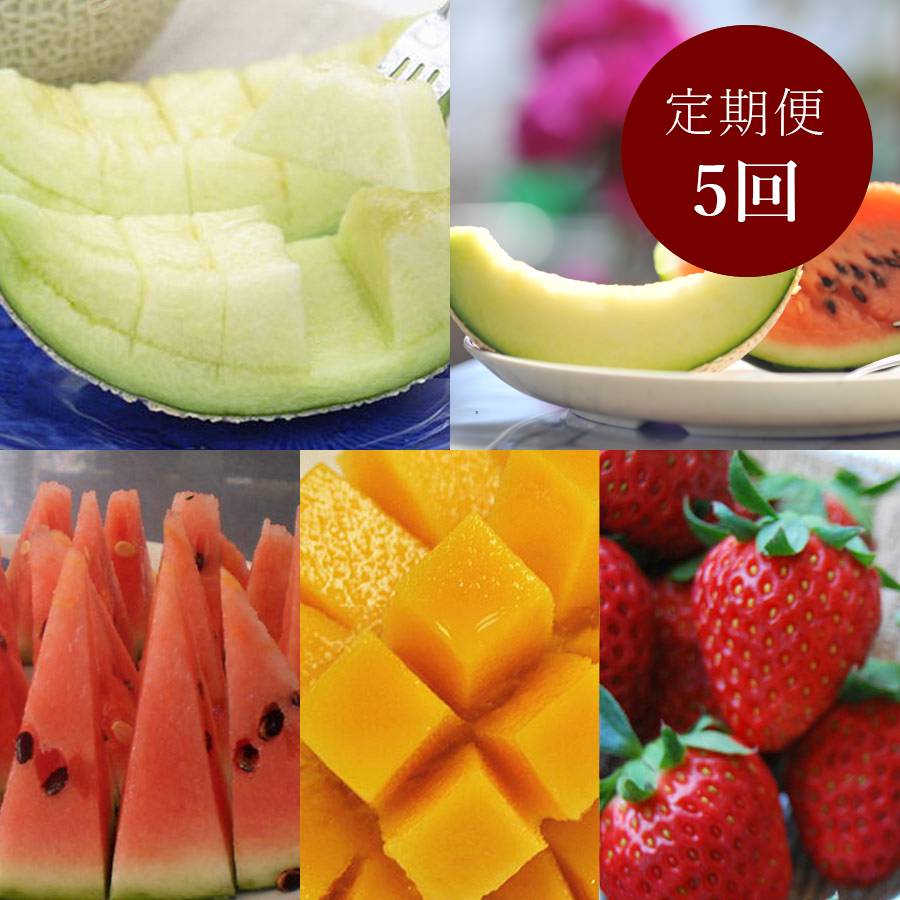 【定期便5回】南国土佐より旬のフルーツ定期便(2月～5月受付)（三越伊勢丹選定）