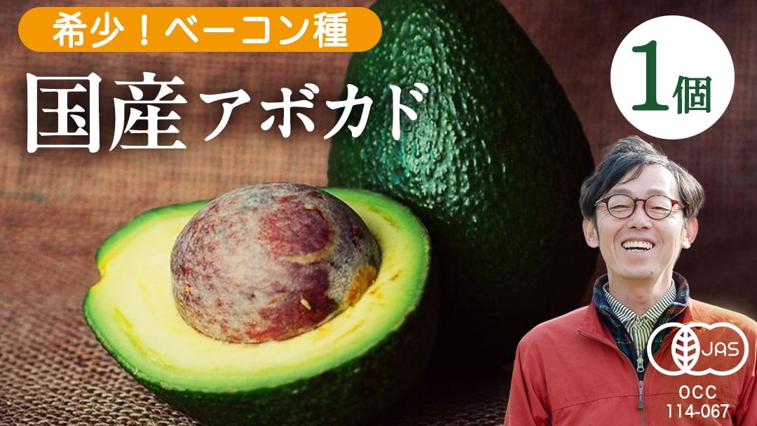 
            国産 オーガニック アボカド ( ベーコン種 ) 1個【2026年11月下旬以降発送】 有機JAS認証 有機栽培 アボガド 瀬戸内 有機 濃厚 希少 広島 大崎上島
          