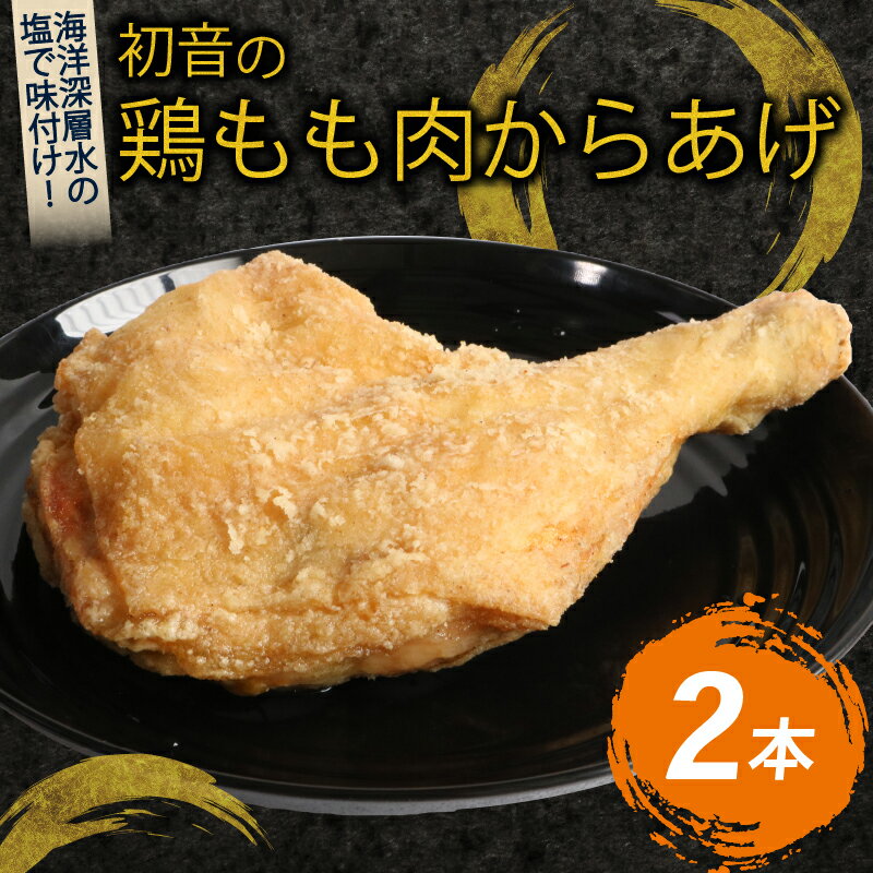 【ふるさと納税】初音 彩どり 鶏もも肉からあげ 2本 約310g×2 骨付き 味付き 唐揚げ 唐揚 肉 鶏肉 もも肉 モモ肉 鳥肉 とり肉 惣菜 冷凍 簡単調理 送料無料 hn014