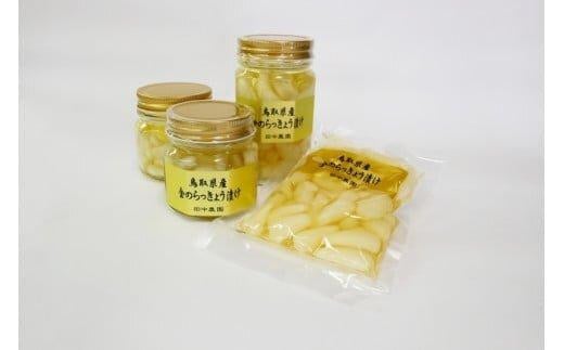 
            ラッキョウ漬け ビン入り 130g×2本＆220g×1本 袋入り 220g×1袋 【らっきょう らっきょ ご飯 カレー セット商品 鳥取県産 北栄町 おすすめ 人気 新鮮 パリ パリッ】
          