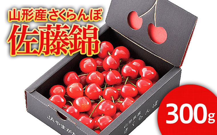
            ★温室栽培★山形市産 さくらんぼ 「佐藤錦」 L以上 300gバラ詰め 【令和7年産先行予約】FU21-067 くだもの 果物 フルーツ 山形 山形県 山形市 2025年産
          
