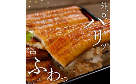 完全無投薬 仁淀川の伏流水で育てた贅沢うなぎ蒲焼き 大（約200ｇ×2尾）ギフトセット 池澤鮮魚