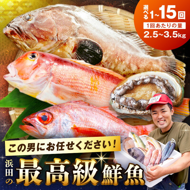 【ふるさと納税】どんちっち浜田が育む鮮魚～最高級　この男シリーズ～ 【1回 2回 10回 15回定期便】