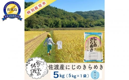 佐渡島産にじのきらめき 無洗米5Kg 令和7年 特別栽培米 農家直送