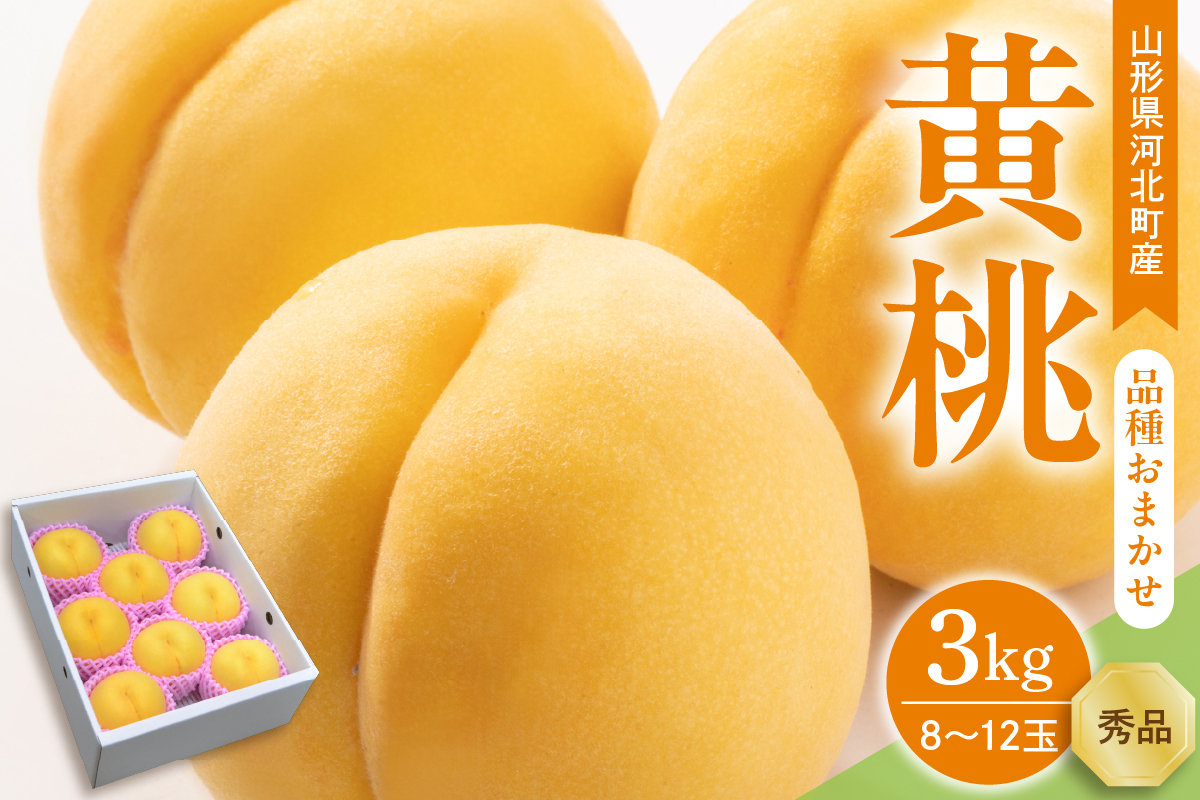 【令和7年産】黄桃 品種おまかせ 3kg (8〜12玉前後) ギフト箱入 秀品 山形県産 【緑茶園/山形eLab】