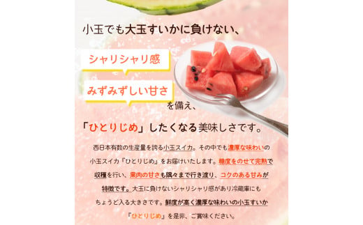 【先行予約】 紀州和歌山産 小玉スイカ「ひとりじめ」1玉 ※2027年5月下旬頃〜6月下旬頃に順次発送予定(お届け日指定不可) スイカ すいか 果物 くだもの フルーツ【uot778A】