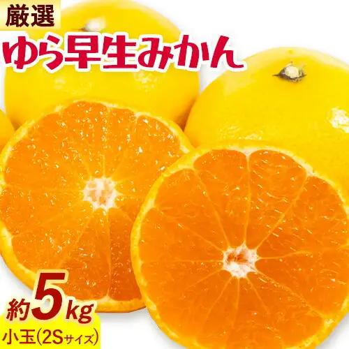 みかん ゆら早生みかん 厳選 小玉 2Sサイズ 5kg GOGO農園《10月上旬-11月末頃出荷》