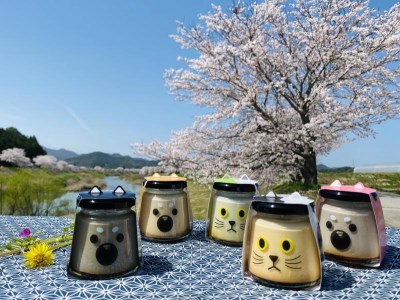 丹波篠山黒豆プリン　5種類アソートセット BT04