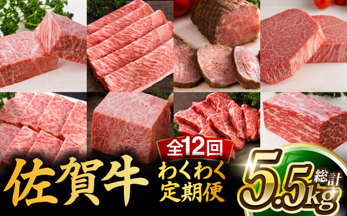 【全12回】 A5ランク 佐賀牛 霜降り 食べ比べ 定期便 約2-3人前 総計5.52kg /焼肉どすこい [UCC005] 最高級 牛肉 肉 ステーキ スライス ローストビーフ 焼肉