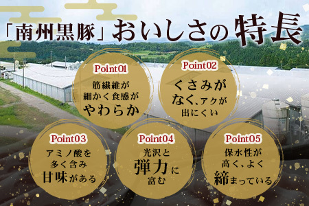 南州農場 黒豚炭焼き焼豚２本詰合せ（ノン・アッド）（3128）