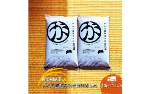 【令和六年産】定期便  がんも農場のお米毎月楽しみ（白米） 10kg×12ヵ月【出荷開始：2024年10月～】【 コシヒカリ こしひかり 長野県 佐久市 】