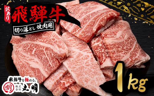【訳あり】飛騨牛 焼肉　切り落とし 1kg【配送不可地域：離島】【1749005】