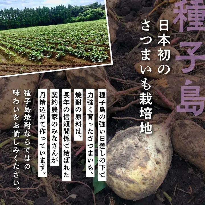 【宇宙に一番近い蔵】「南泉」35% 1800ml 3本セット【上妻酒造】