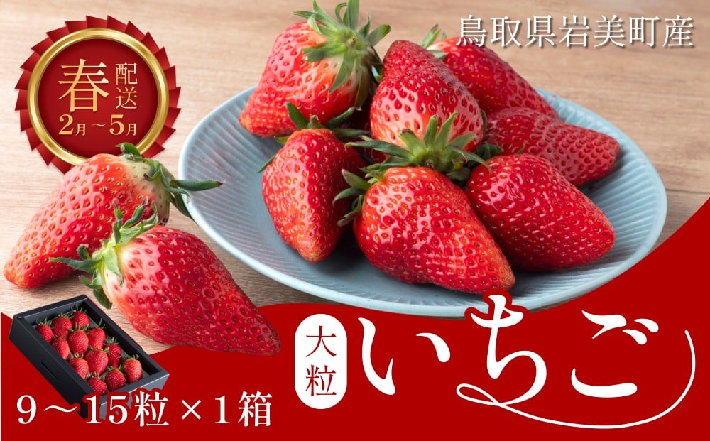 
                  【2027先行予約】米村農園「大粒いちごB」 9～15粒程度×1セット 発送は2027年2月以降｜鳥取 岩美 苺 いちご イチゴ あきひめ、とっておき、紅ほっぺ、さちのか、のいずれか【42002】
                
