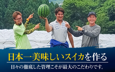 【先行予約】日田天領 西瓜 1玉 約7kg～10kg 100サイズ 日田市 / 日田天領西瓜部会[ARBD001]