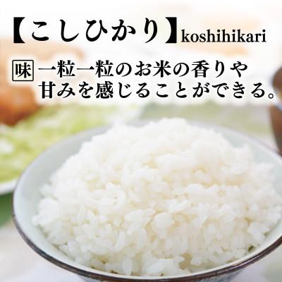 ふるさと納税 安芸市 【毎月定期便】6ヵ月連続でお届け!「コシヒカリ」定期便5kg全6回 |  | 02