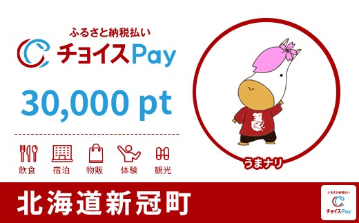 
            新冠町チョイスPay 30,000pt【会員限定のお礼の品】
          