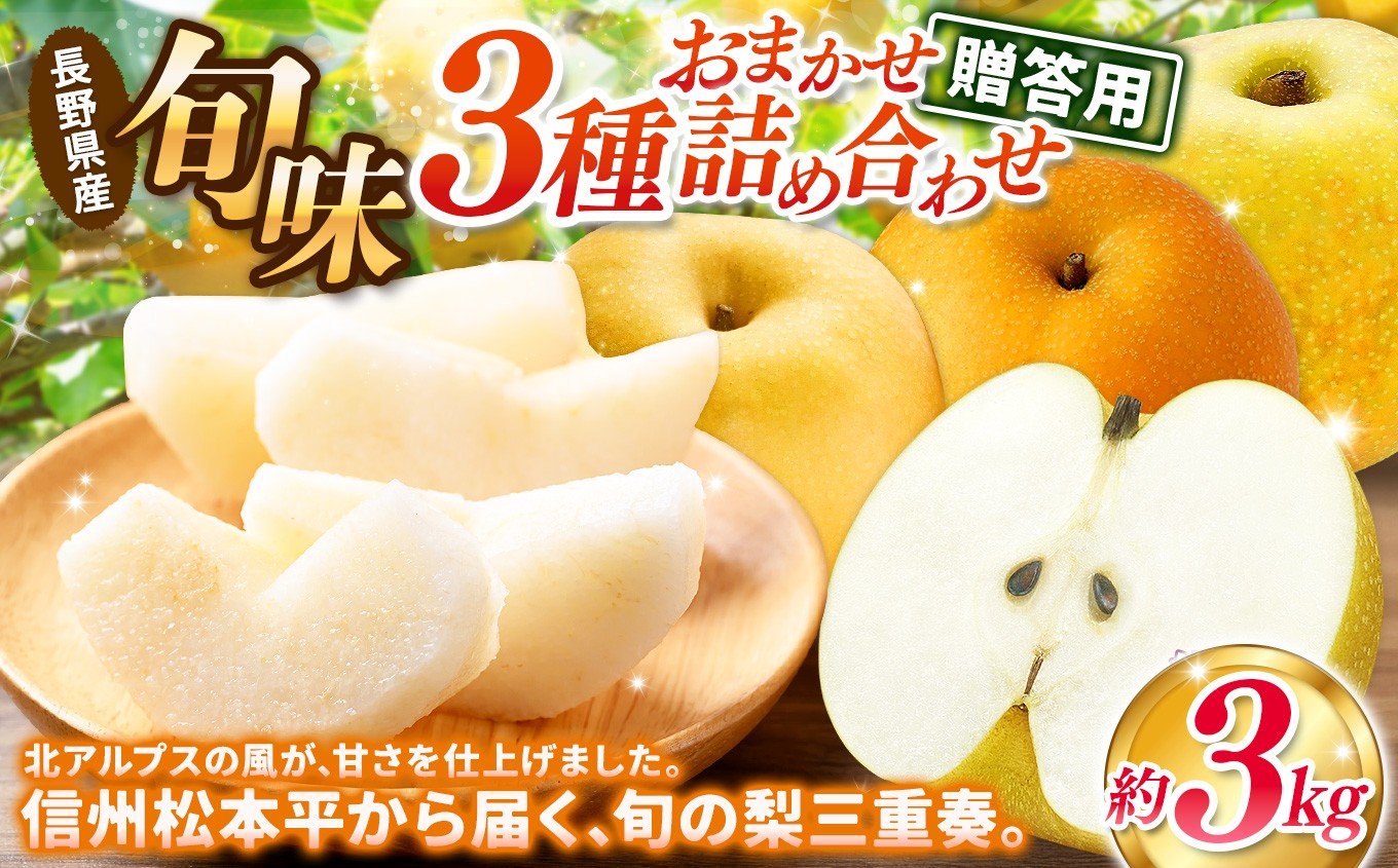 
                  【先行予約】贈答用 信州松本平産 梨【幸水・豊水・南水】おまかせ詰め合わせセット約3kg(8～9玉）《2026年7月頃から発送》～清流と高原の風が育む、信州の香りと甘み～ | 果物 くだもの フルーツ 幸水 豊水 南水 信州産 長野県 塩尻市
                