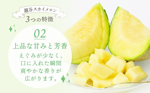 メロン めろん スカイメロン すかいめろん メロン めろん スカイメロン すかいめろん メロン めろん スカイメロン メロン