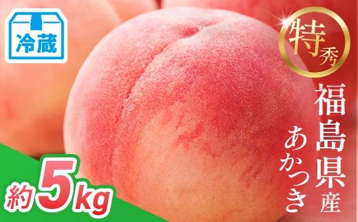 糖度12度以上 <冷蔵配送> 特秀 福島県産 桃 あかつき 約5kg 透過式光センサー選別 2026年出荷分先行予約 数量限定 期間限定 白桃 もも モモ 果物 くだもの フルーツ F21C-463