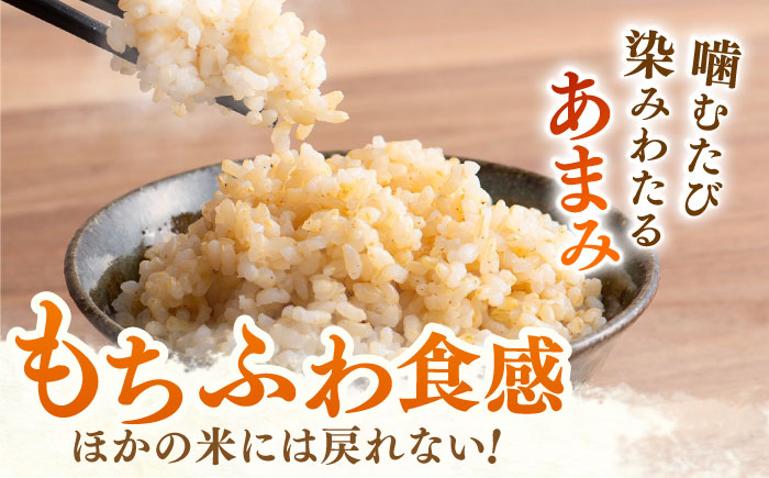令和7年産 ももちゃんちのお米 さがびより 玄米 30kg【ももさき農産】 [HCG001]