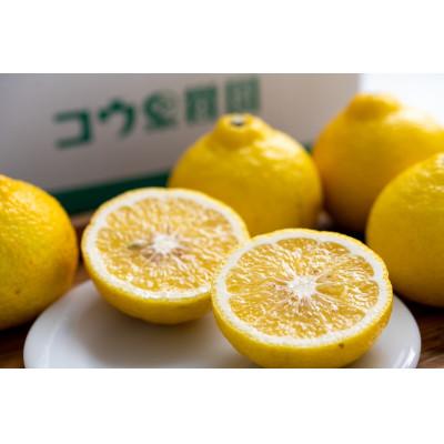 ふるさと納税 八幡浜市 【発送月固定定期便】ボリューム定期便【H33-45】全5回 |  | 02