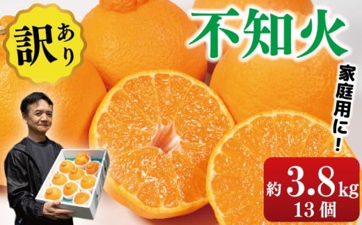 訳あり 不知火 約3.8kg 13個入り しらぬい みかん 蜜柑 果物 フルーツ 柑橘 オレンジ ゼリー ジュース アイス ケーキ デザート スイーツ ジャム 糖度 甘い 不揃い 規格外 ビタミン 美容 健康 送料無料 徳島県 阿波市 サトウ農園