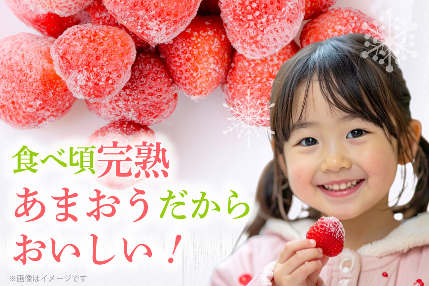 いちご 冷凍 冷凍 完熟 あまおう 2kg [ストロベリーファーム 福岡県 宇美町 um40azp070000] イチゴ 苺 フルーツ 冷凍フルーツ 果物 果実 甘い あまい 冷凍いちご 冷凍苺 冷凍