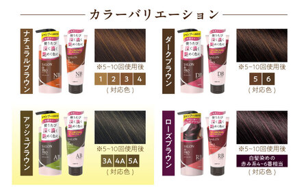 ダリヤ サロンドプロ カラーシャンプー・トリートメント 各3個セット【アッシュブラウン】 / 稲沢市 / 日興商事株式会社 [BMBK005-03]