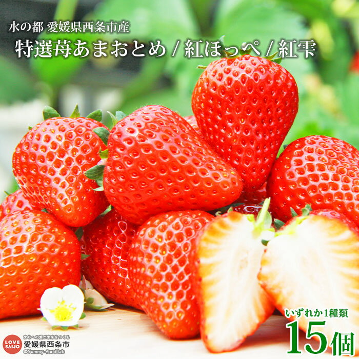 【ふるさと納税】水の都 愛媛県西条市産＜特選苺あまおとめ 紅ほっぺ 紅雫 いずれか15個＞ ※2026年3月中旬迄に順次出荷します。 いちご イチゴ 果物 くだもの フルーツ ゆきもと農園 愛媛県 西条市 【冷蔵】