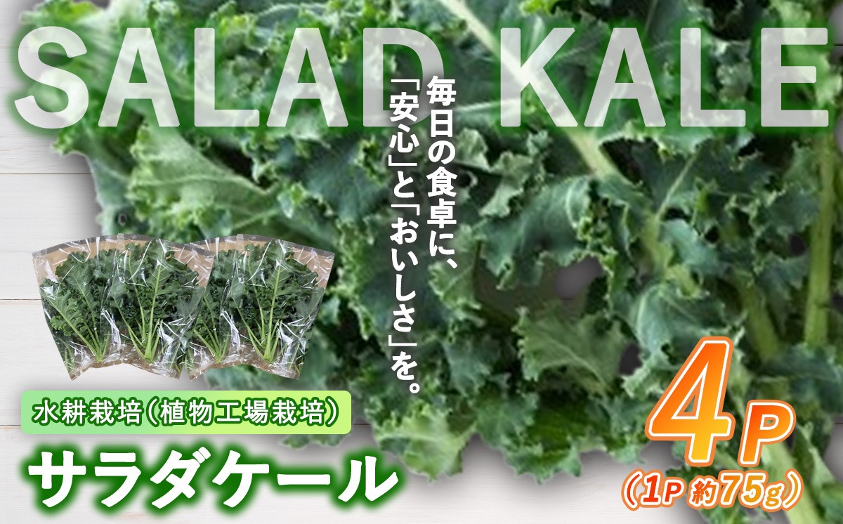 【無農薬】水耕栽培（植物工場栽培）サラダケール 300g（約75g×4P）（その他）
