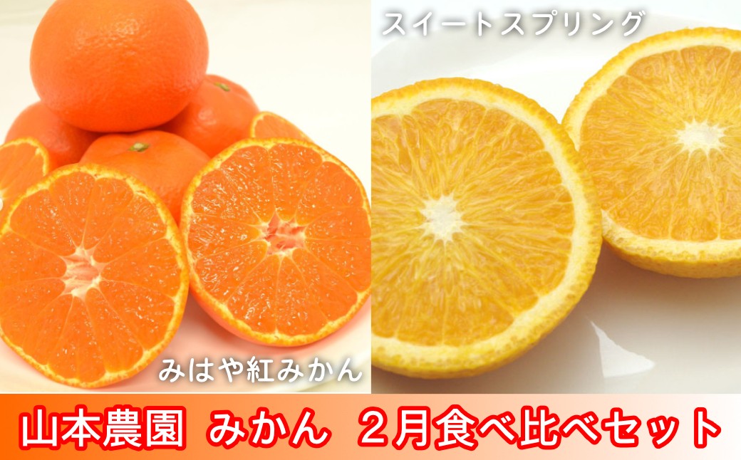 
                  【セット】太良町 山本農園 2月食べ比べセット 5.5kg（みはや紅みかん3kg、スイートスプリング2.5kg）
                