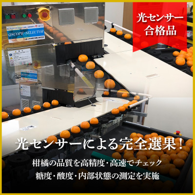 極撰柑橘【雅プレミアム】糖度保証・光センサー 合格品「 マドンナ 」約2キロ【D39−61】【配送不可地域：離島】【1614244】