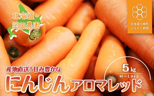 【先行予約】 北海道七飯町産にんじん「アロマレッド5kg」（M～L）  【ふるさと納税 人気 おすすめ ランキング にんじん 人参 ニンジン 野菜 やさい 国産 甘い 先行予約 2026年度発送 北海道 七飯町 送料無料】 NAZ030