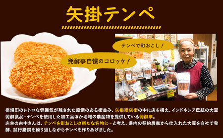 テンペ健康セットA 5種セット 矢掛テンペ 《30日以内に出荷予定(土日祝除く)》 粉末テンペ コロッケ 大豆 発酵食品 スーパーフード 岡山県矢掛町産 発酵亭