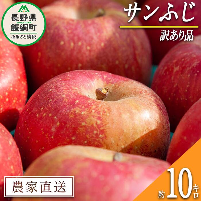 【ふるさと納税】 りんご サンふじ 訳あり 10kg 関農園 沖縄県への配送不可 エコファーマー認定 令和7年度収穫分 長野県 飯綱町 〔 傷 不揃い リンゴ 林檎 果物 フルーツ 信州 長野 19000円 予約 農家直送 〕発送時期：2025年12月上旬〜2025年12月下旬