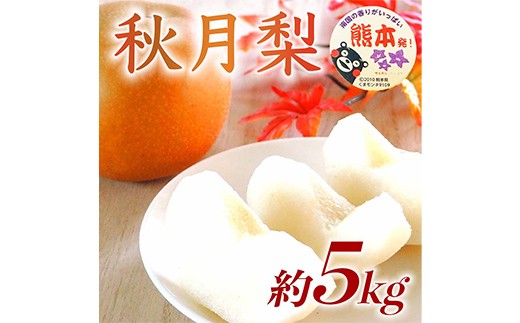 
                  FKP9-731 秋月梨 5kg ナシ 梨 果物 くだもの フルーツ
                
