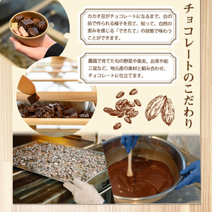 自家焙煎 リキッドアイスコーヒー (1本/1000ml) 珈琲 インドネシア お試し 【man175】 【サニーサイド】