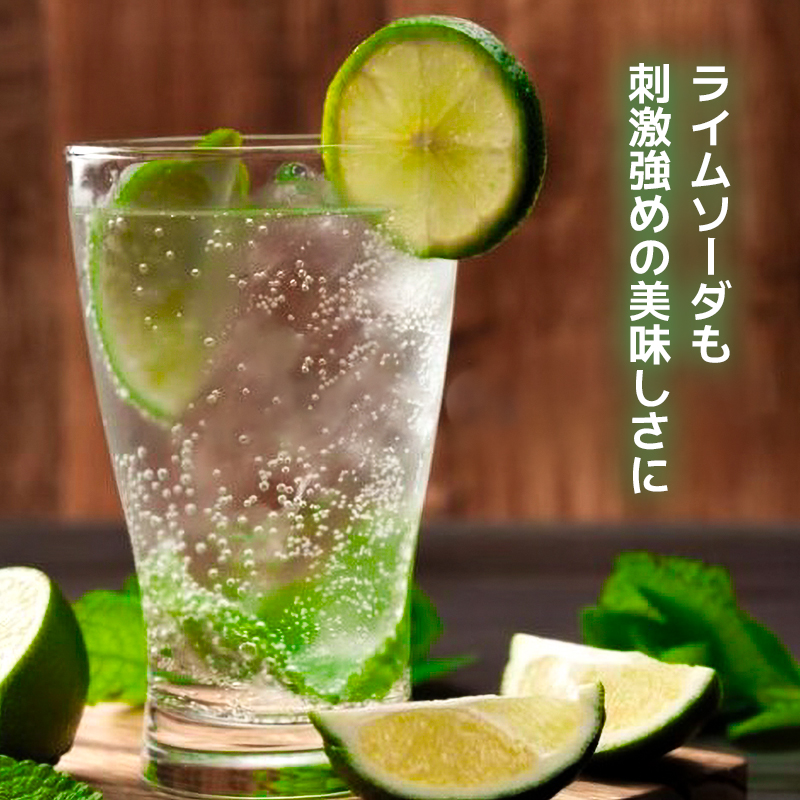 【最速10日以内発送】 炭酸水 缶 500ml×24本 ボトル缶