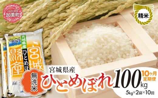 【 10回 定期便 】無洗米 令和7年度産 宮城 ひとめぼれ 計 100kg （ 10kg × 10回 ）｜ 菅原精米工業 宮城県 加美町 sw-hb10-mu-t8-r7｜ ヒトメボレ 米 コメ お米 ごはん