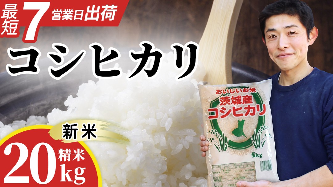 【新米】 コシヒカリ 精米 20kg  産地直送 茨城県 城里町 新米 精白米 米 ご飯 こしひかり 米 白米 精米 単一原料米 (AX064)