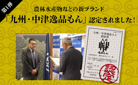 【3ヶ月定期便】【九州米・食味コンクール最優秀賞受賞】令和5年産 大分県中津産やまくに誉 つや姫 5kg×1袋 (毎月1回)   お米 精米 白米 九州産 熨斗対応可 お米 おいしい米 高評価米 中津