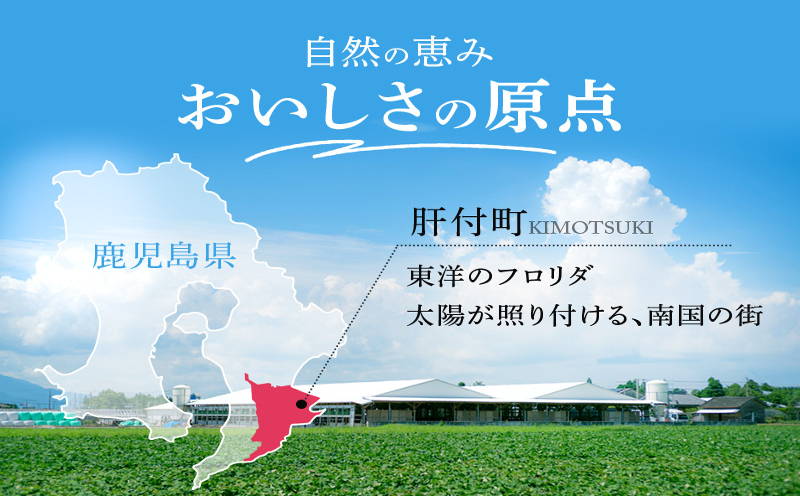 ＜期間・数量限定＞鹿児島黒牛ビーフシチュー　10パックセット