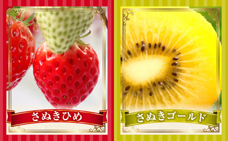 とれたて果物 4回定期便B |果物 フルーツ 果物定期便 フルーツ定期便 定期便 いちご キウイ デコポン みかん 濃厚 旬の果物 定期 人気 おすすめ 贈答 贈り物 青果物 糖度 香川県 |_mk1